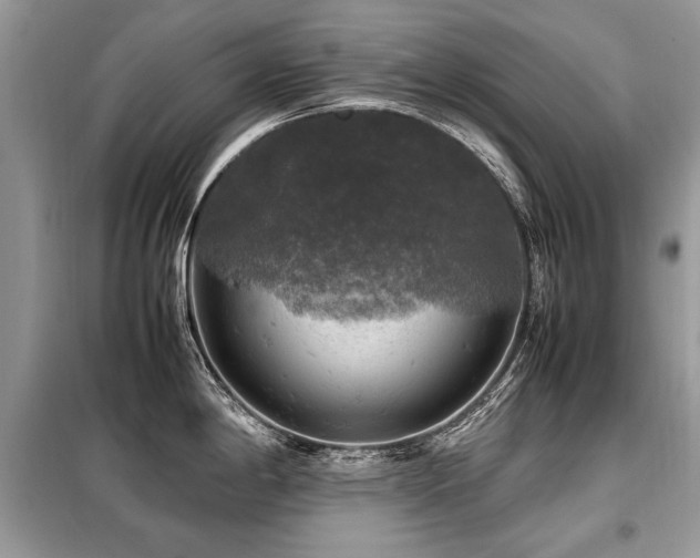 X0000099411198200805091212
