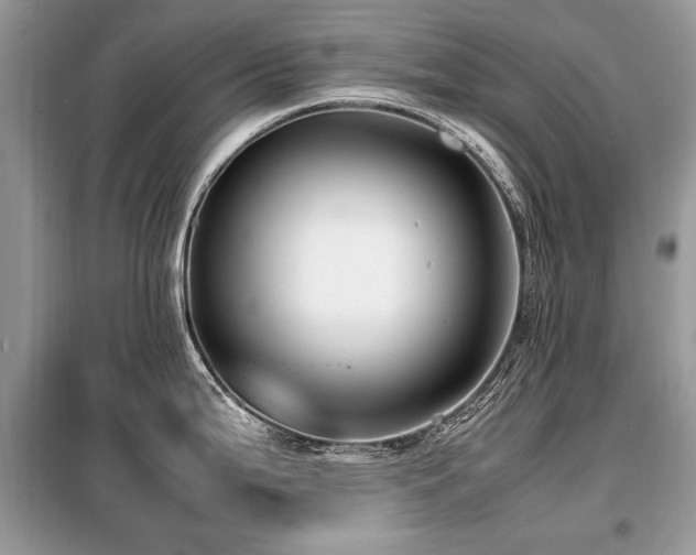 X0000099411199200805091212