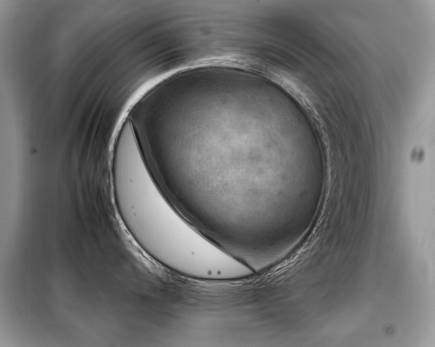 X0000099411200200805091212