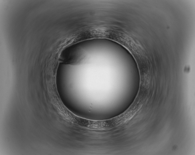 X0000099411201200805091211