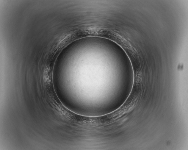 X0000099411202200805091211