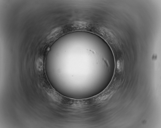X0000099411203200805091211