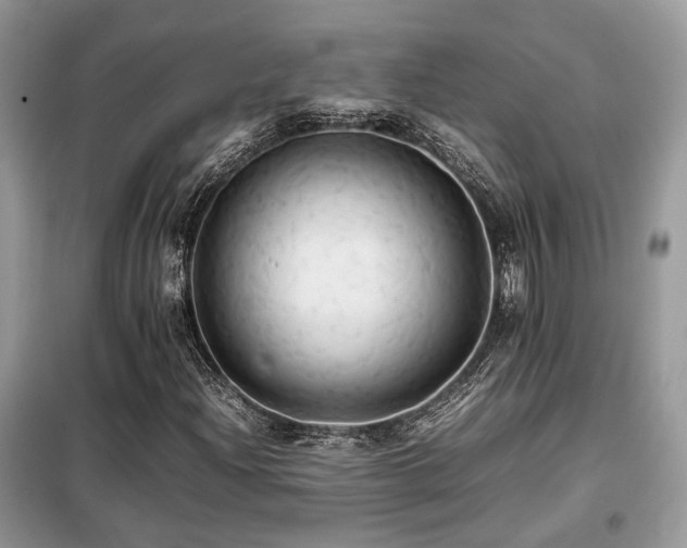 X0000099411204200805091211