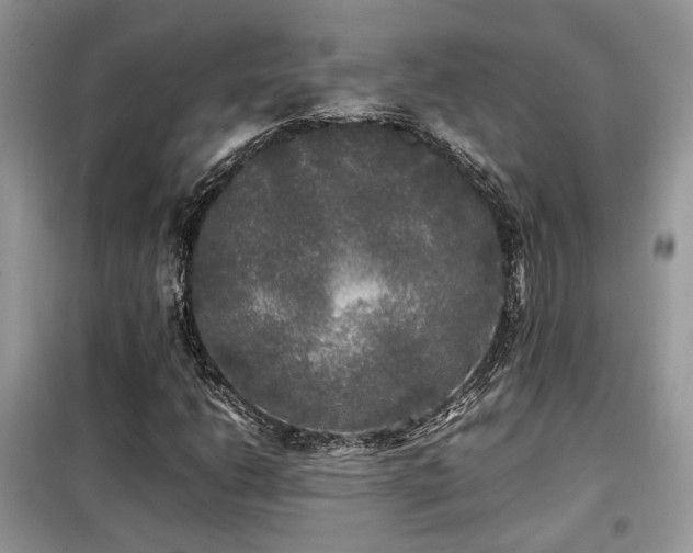 X0000099411206200805091211