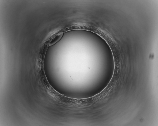 X0000099411207200805091211