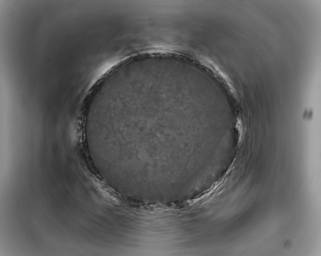 X0000099411208200805091211