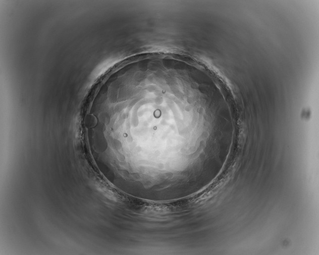 X0000099411215200805091211