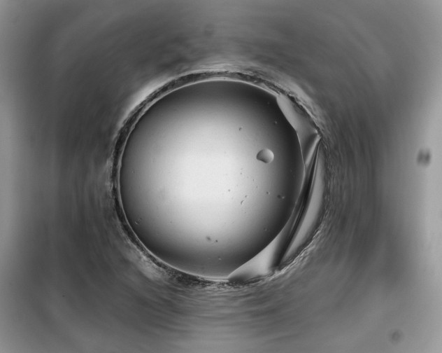 X0000099411216200805091211