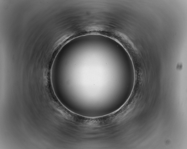 X0000099411217200805091211
