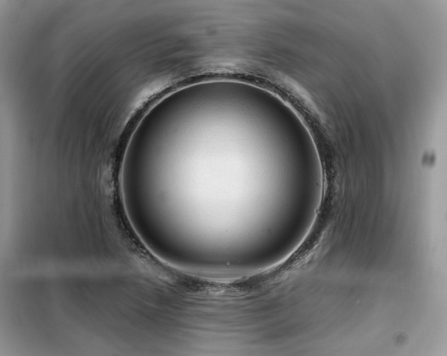X0000099411218200805091211
