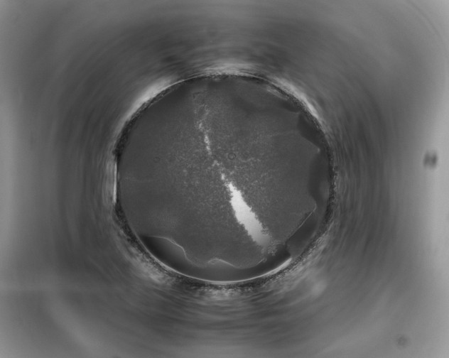 X0000099411219200805091211