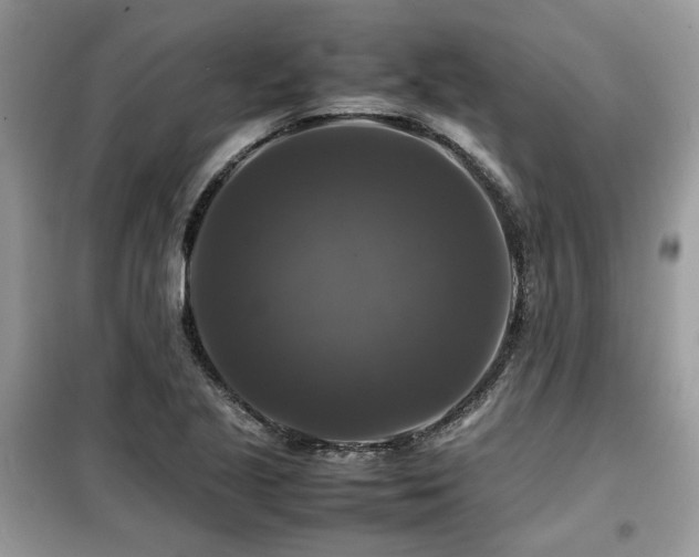 X0000099411221200805091211