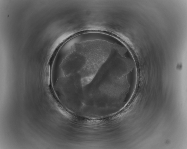 X0000099411223200805091211