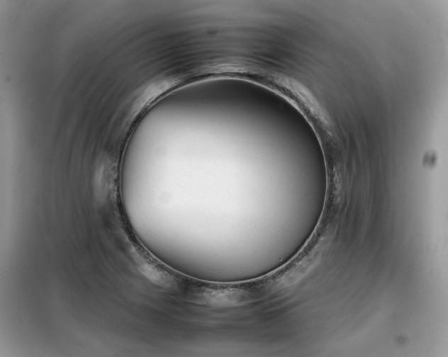 X0000099411225200805091211