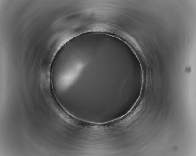 X0000099411226200805091211