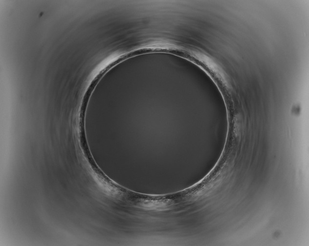 X0000099411229200805091211