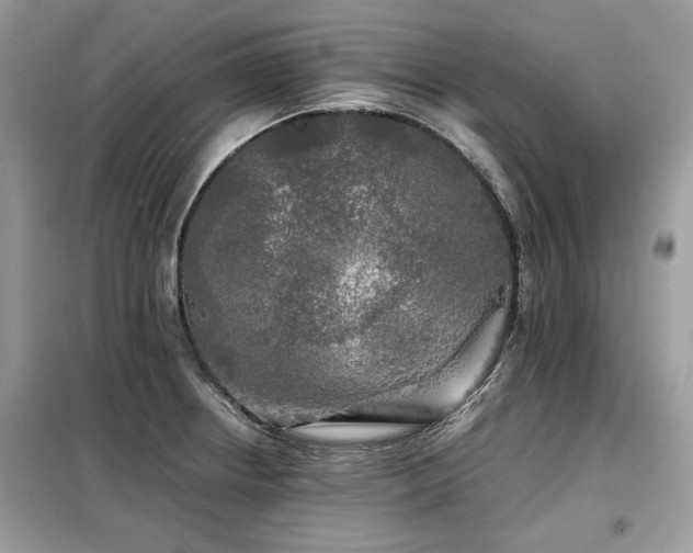 X0000099411234200805091211