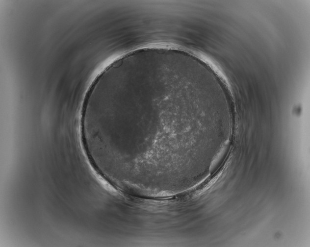 X0000099411237200805091211