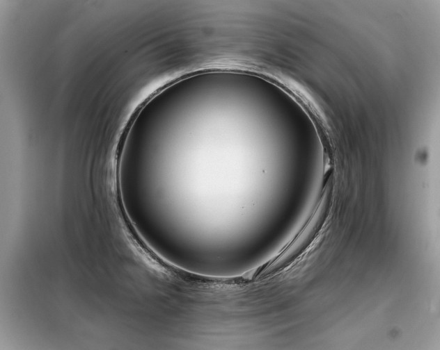 X0000099411238200805091211