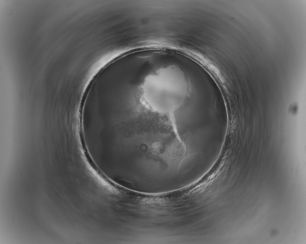 X0000099411239200805091211