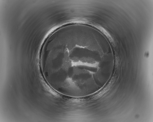 X0000099411240200805091212