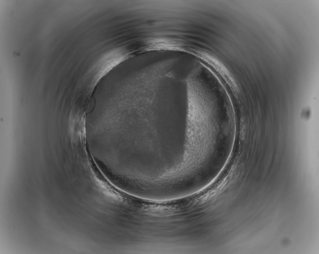 X0000099411241200805091212