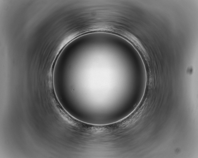 X0000099411242200805091212