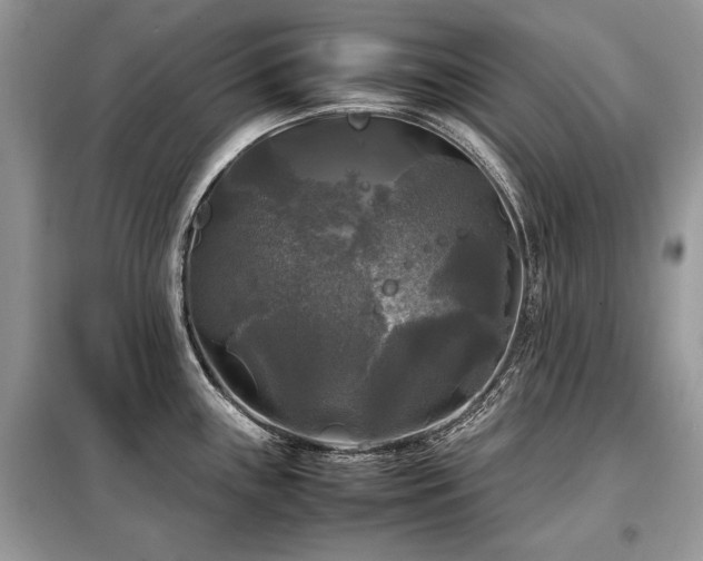 X0000099411243200805091212