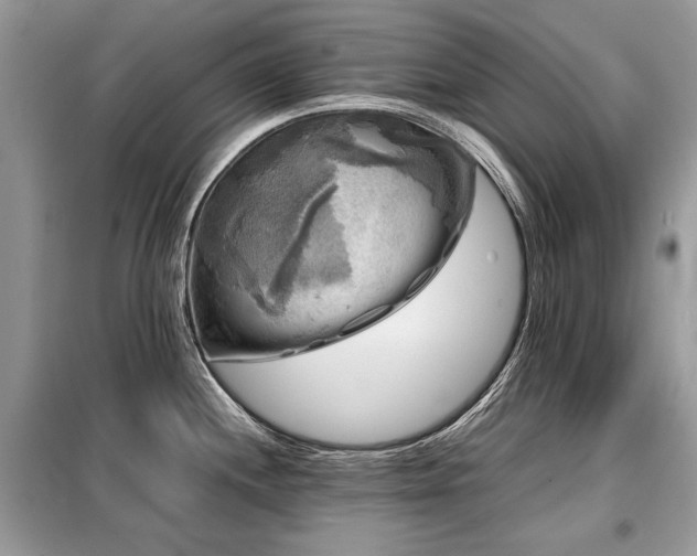 X0000099411244200805091212