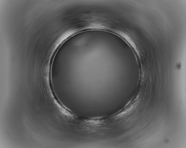 X0000099411245200805091212