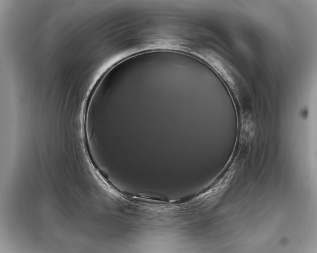 X0000099411246200805091212