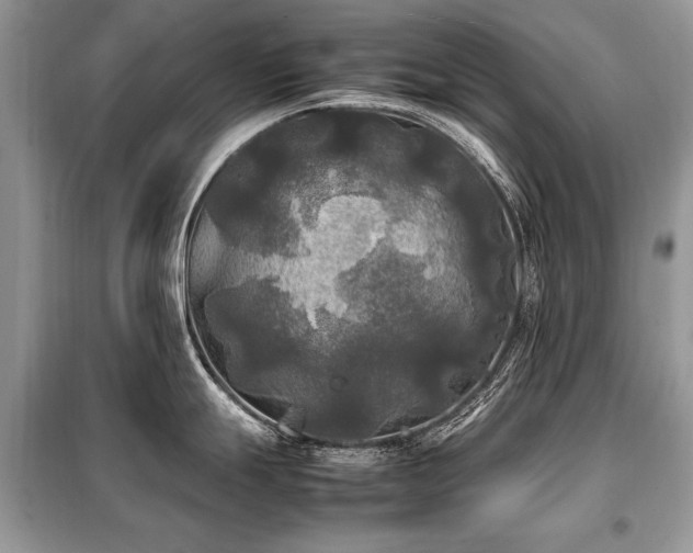 X0000099411247200805091212