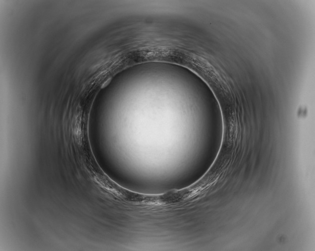 X0000099411250200805091211