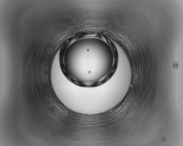 X0000099411252200805091211