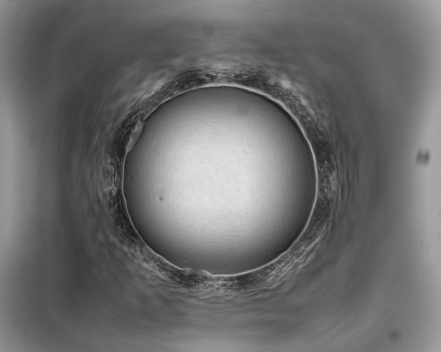 X0000099411253200805091211