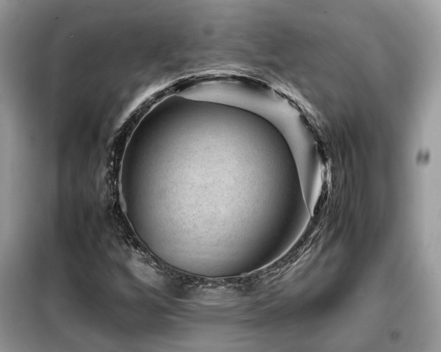 X0000099411256200805091211