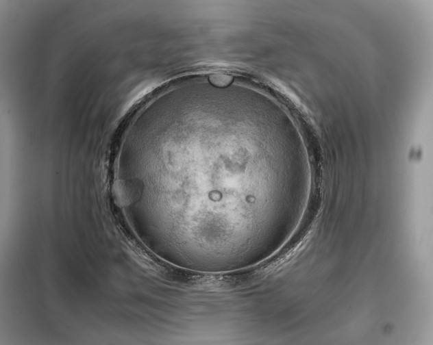 X0000099411259200805091211