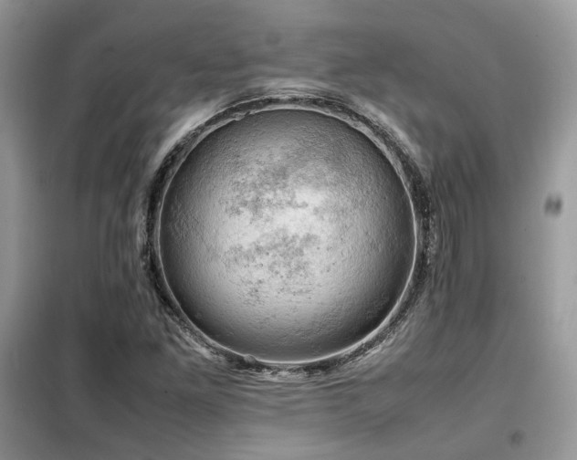 X0000099411261200805091210