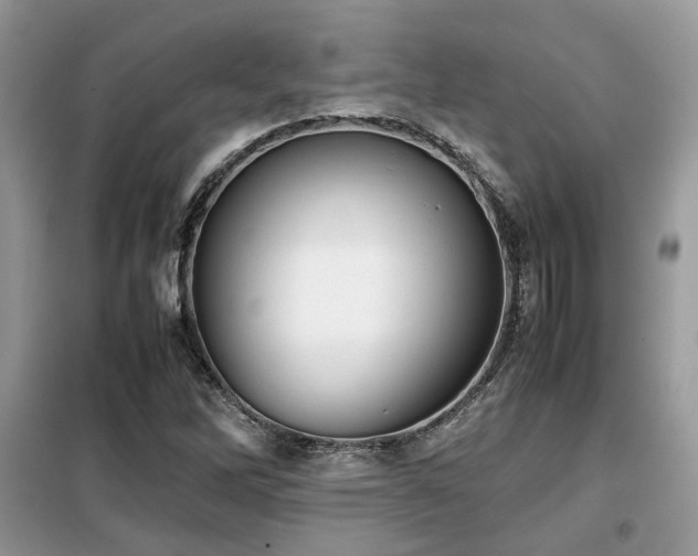 X0000099411262200805091210