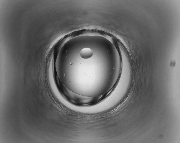 X0000099411263200805091210