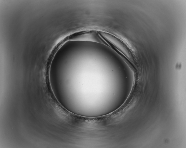 X0000099411264200805091210