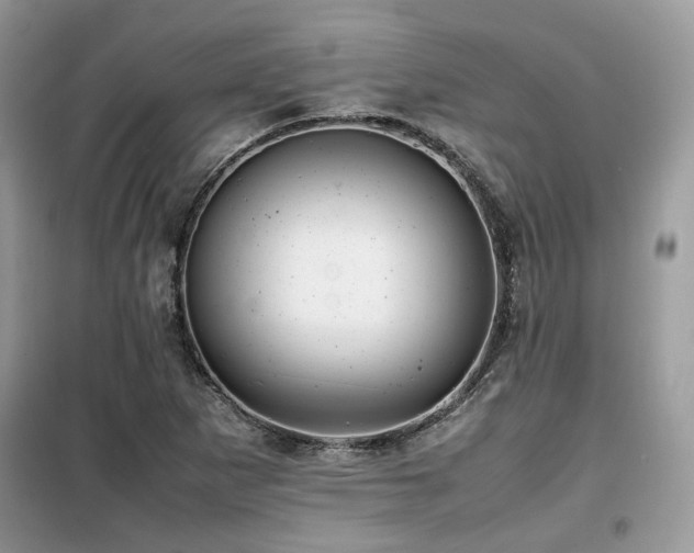 X0000099411265200805091210