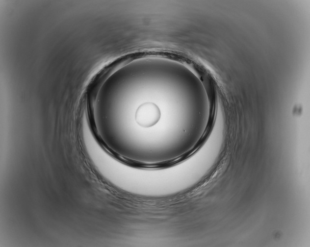 X0000099411267200805091210
