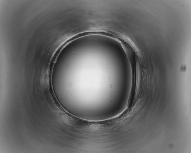 X0000099411268200805091210
