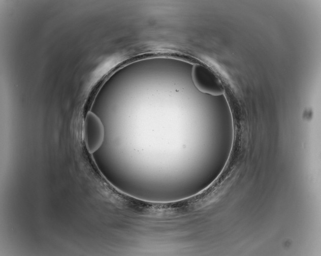X0000099411269200805091210