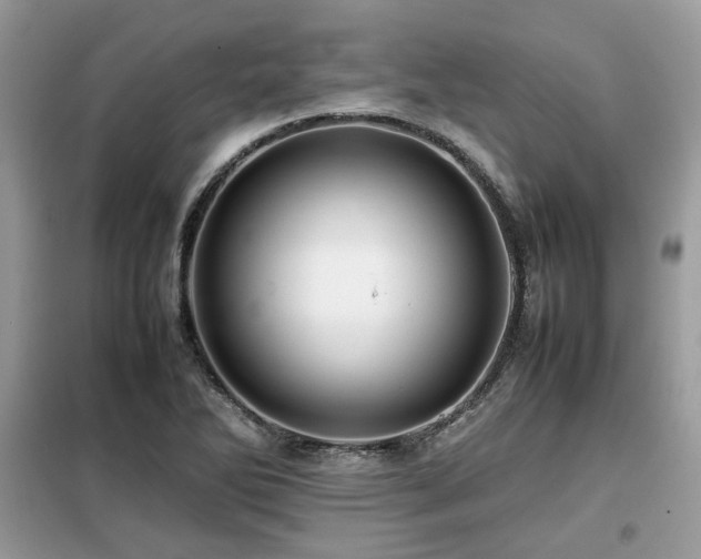 X0000099411270200805091210