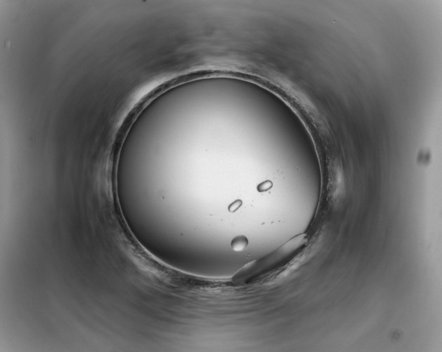 X0000099411272200805091210