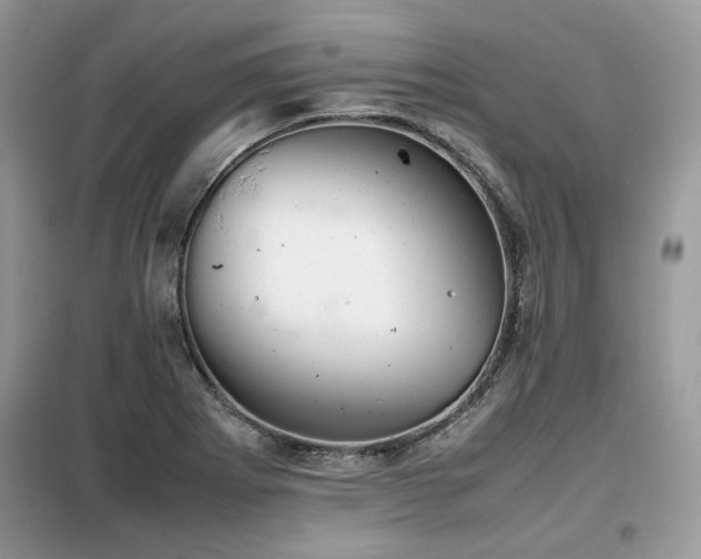 X0000099411273200805091210