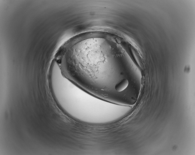 X0000099411275200805091210