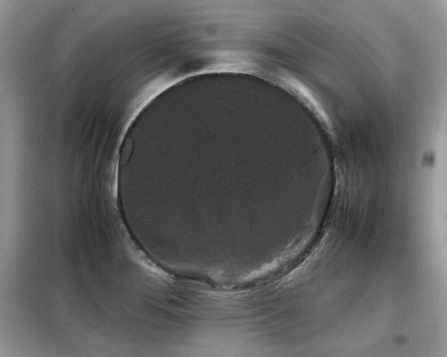 X0000099411276200805091210